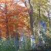 Der Alte Südfriedhof im Herbst